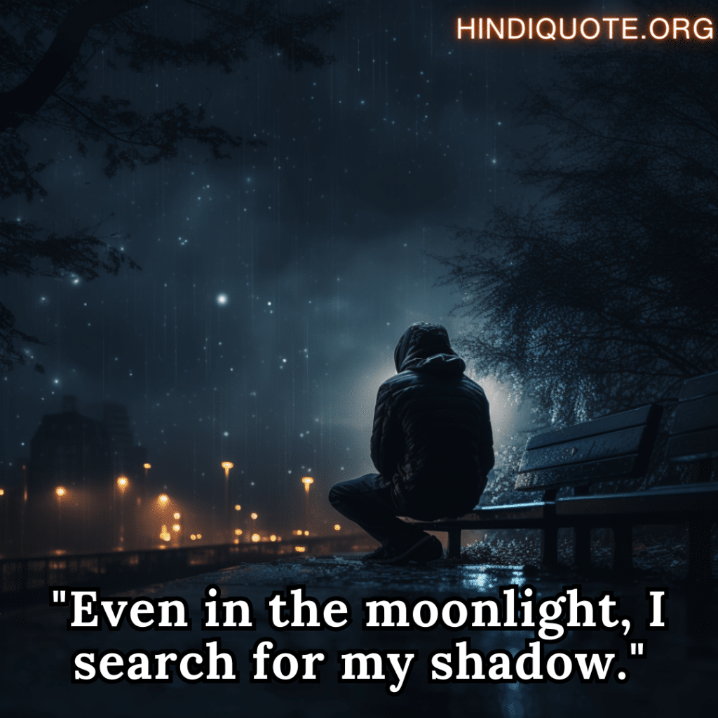 "Even in the moonlight, I search for my shadow."