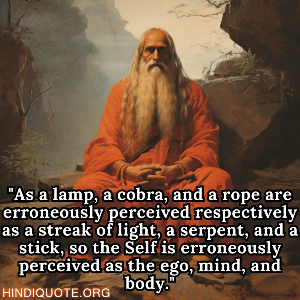 "As a lamp, a cobra, and a rope are erroneously perceived respectively as a streak of light, a serpent, and a stick, so the Self is erroneously perceived as the ego, mind, and body." - Shankaracharya