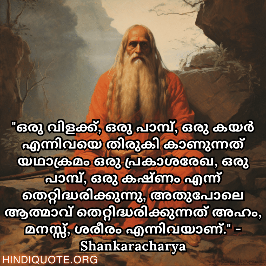 "ഒരു വിളക്ക്, ഒരു പാമ്പ്, ഒരു കയർ എന്നിവയെ തിരുകി കാണുന്നത് യഥാക്രമം ഒരു പ്രകാശരേഖ, ഒരു പാമ്പ്, ഒരു കഷ്ണം എന്ന് തെറ്റിദ്ധരിക്കുന്നു, അതുപോലെ ആത്മാവ് തെറ്റിദ്ധരിക്കുന്നത് അഹം, മനസ്സ്, ശരീരം എന്നിവയാണ്." - Shankaracharya