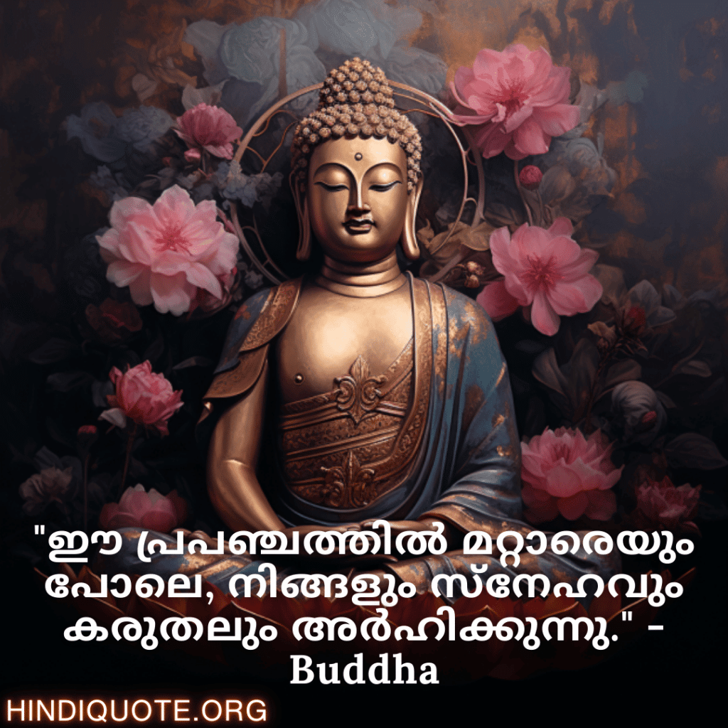 "ഈ പ്രപഞ്ചത്തിൽ മറ്റാരെയും പോലെ, നിങ്ങളും സ്നേഹവും കരുതലും അർഹിക്കുന്നു." - Buddha
