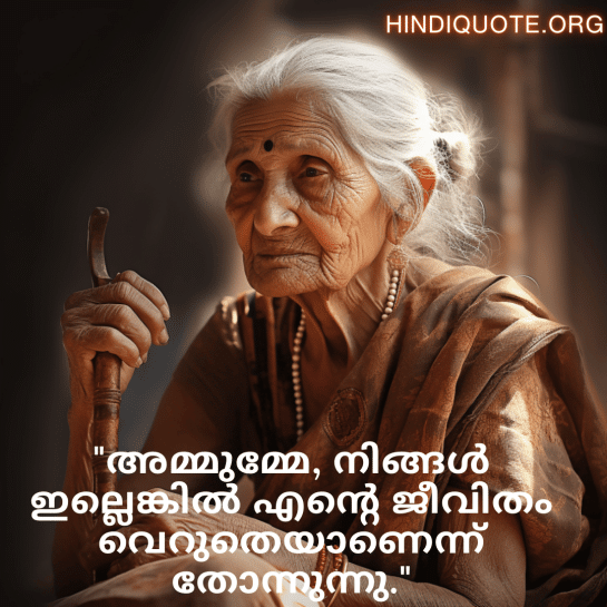 Love Quotes in Malayalam for your Grandma "അമ്മുമ്മേ, നിങ്ങൾ ഇല്ലെങ്കിൽ എന്റെ ജീവിതം വെറുതെയാണെന്ന് തോന്നുന്നു."