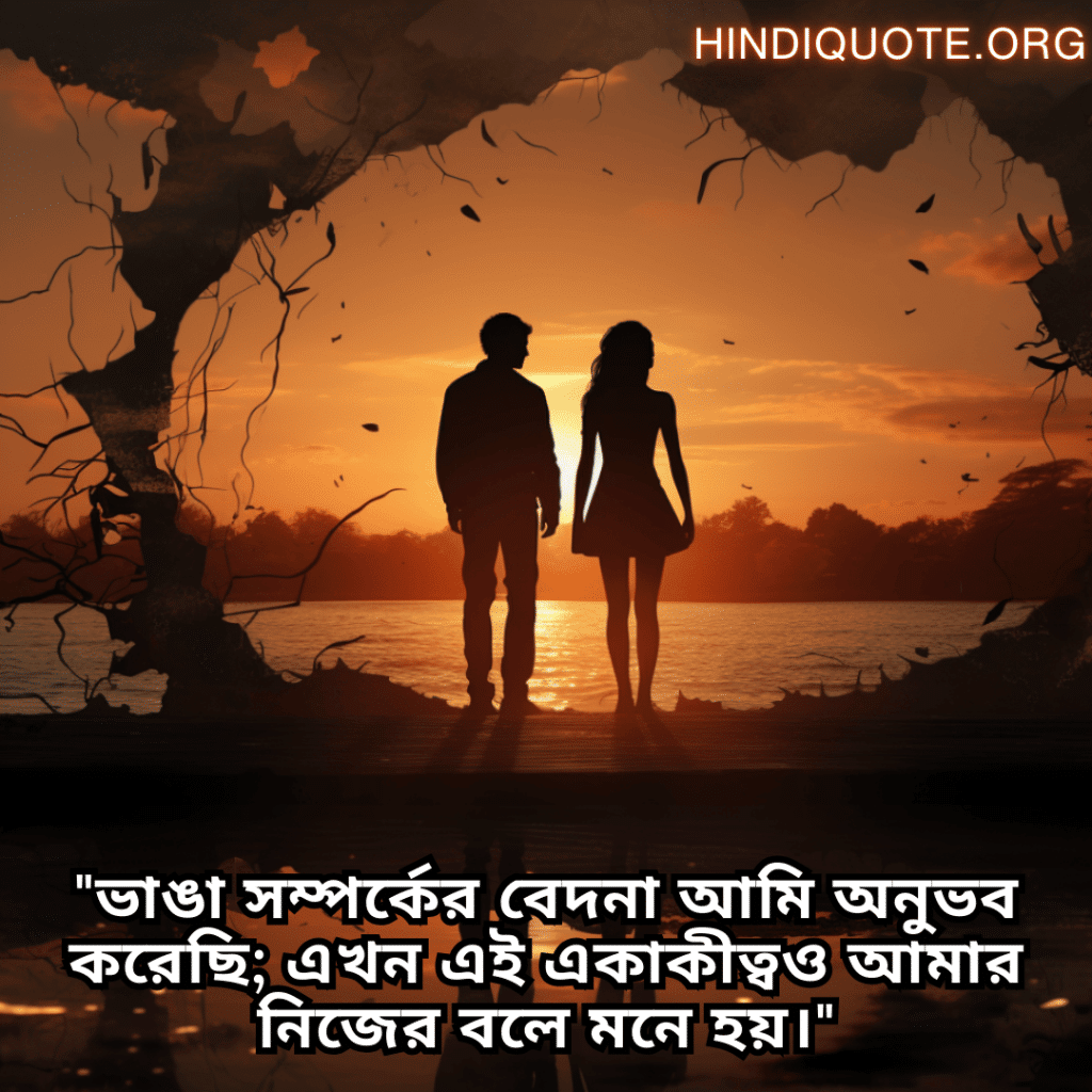"ভাঙা সম্পর্কের বেদনা আমি অনুভব করেছি; এখন এই একাকীত্বও আমার নিজের বলে মনে হয়।"