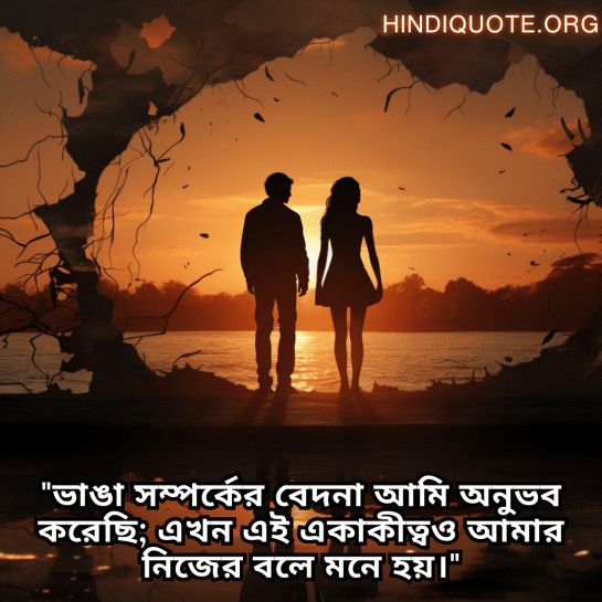 "ভাঙা সম্পর্কের বেদনা আমি অনুভব করেছি; এখন এই একাকীত্বও আমার নিজের বলে মনে হয়।"