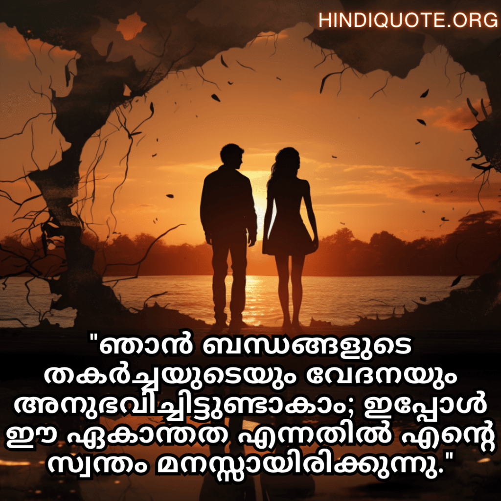 "ഞാൻ ബന്ധങ്ങളുടെ തകർച്ചയുടെയും വേദനയും അനുഭവിച്ചിട്ടുണ്ടാകാം; ഇപ്പോൾ ഈ ഏകാന്തത എന്നതിൽ എന്റെ സ്വന്തം മനസ്സായിരിക്കുന്നു."