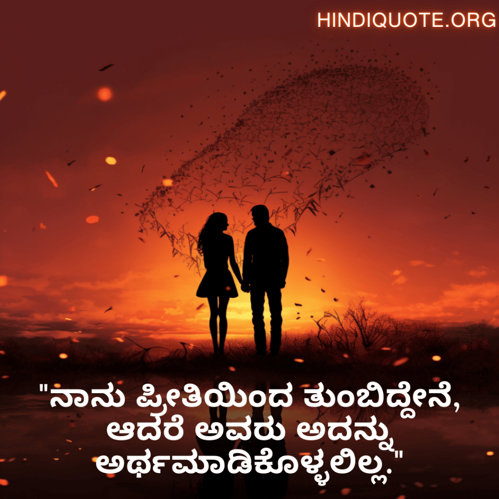"ನಾನು ಪ್ರೀತಿಯಿಂದ ತುಂಬಿದ್ದೇನೆ, ಆದರೆ ಅವರು ಅದನ್ನು ಅರ್ಥಮಾಡಿಕೊಳ್ಳಲಿಲ್ಲ."