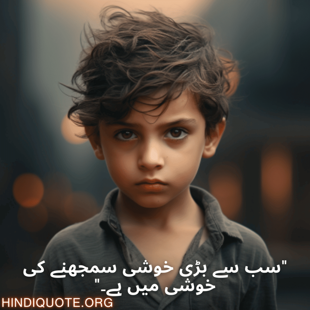 Understanding Attitude Shayari In Urdu "سب سے بڑی خوشی سمجھنے کی خوشی میں ہے۔"