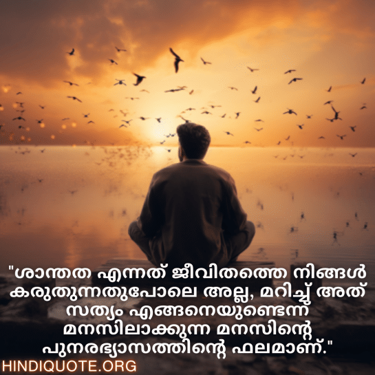 Calm Attitude Quotes In Malayalam "ശാന്തത എന്നത് ജീവിതത്തെ നിങ്ങൾ കരുതുന്നതുപോലെ അല്ല, മറിച്ച് അത് സത്യം എങ്ങനെയുണ്ടെന്ന് മനസിലാക്കുന്ന മനസിന്റെ പുനരഭ്യാസത്തിന്റെ ഫലമാണ്."