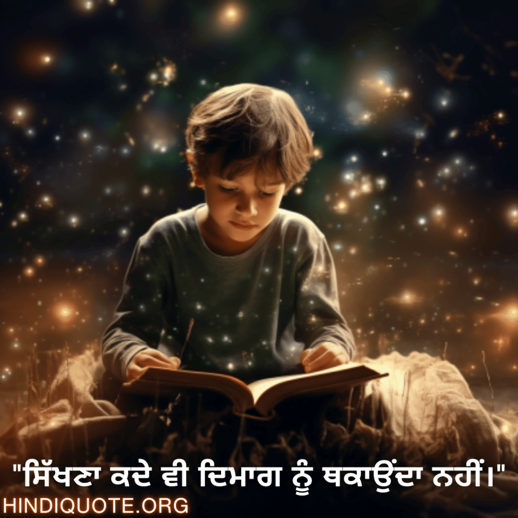 Learning Attitude Status In Punjabi "ਸਿੱਖਣਾ ਕਦੇ ਵੀ ਦਿਮਾਗ ਨੂੰ ਥਕਾਉਂਦਾ ਨਹੀਂ।"