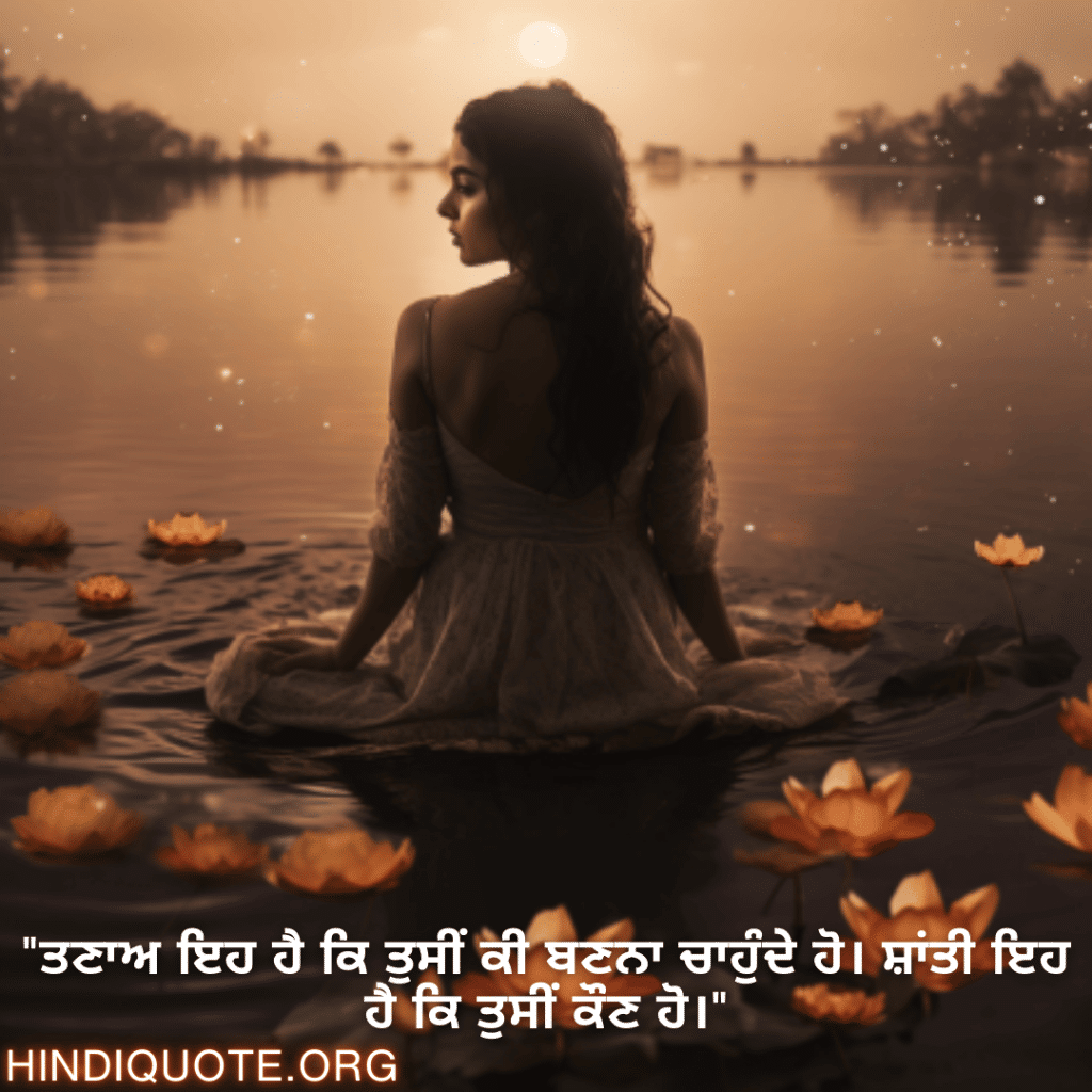 Calm Attitude Shayari In Punjabi "ਤਣਾਅ ਇਹ ਹੈ ਕਿ ਤੁਸੀਂ ਕੀ ਬਣਨਾ ਚਾਹੁੰਦੇ ਹੋ। ਸ਼ਾਂਤੀ ਇਹ ਹੈ ਕਿ ਤੁਸੀਂ ਕੌਣ ਹੋ।"