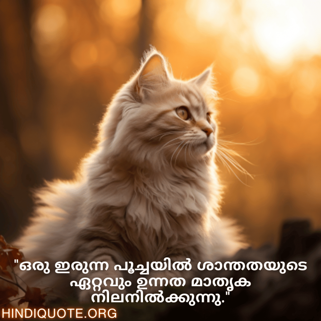 "ഒരു ഇരുന്ന പൂച്ചയിൽ ശാന്തതയുടെ ഏറ്റവും ഉന്നത മാതൃക നിലനിൽക്കുന്നു."