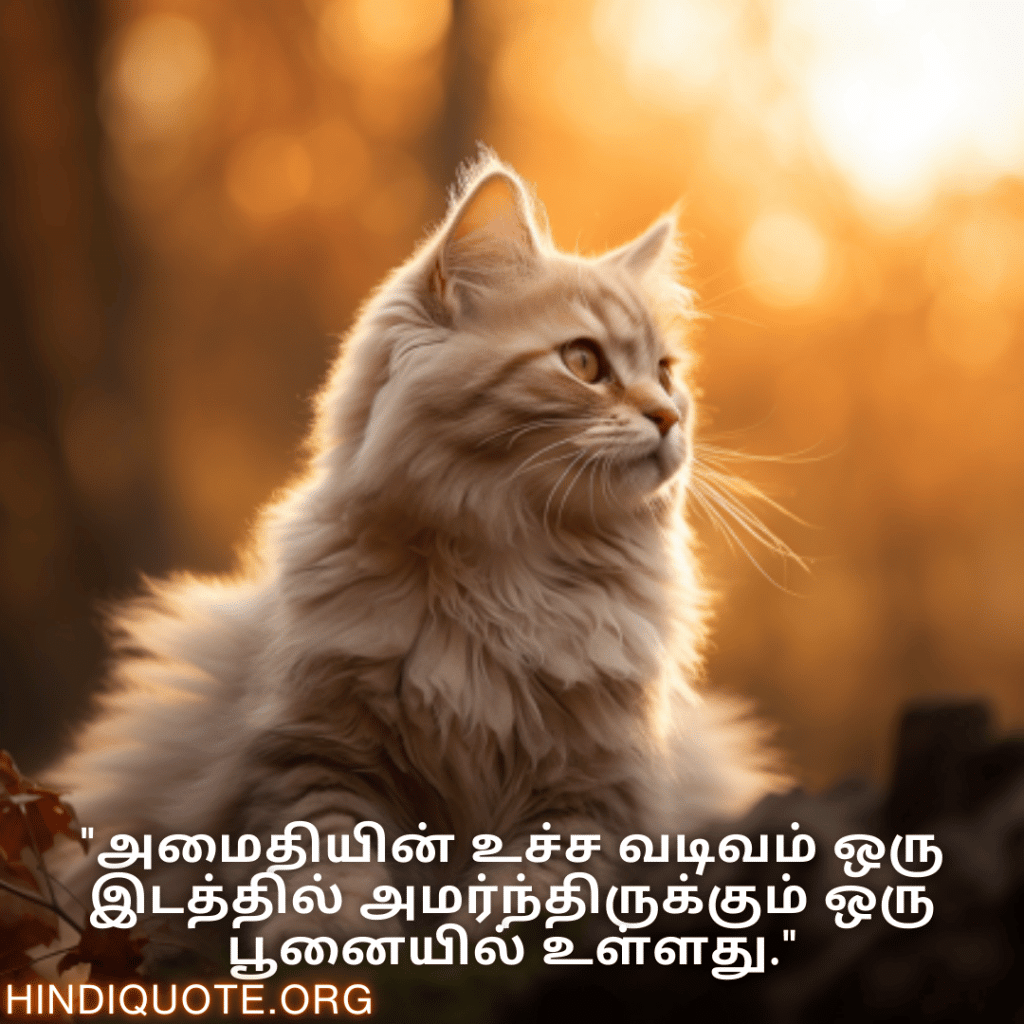 "அமைதியின் உச்ச வடிவம் ஒரு இடத்தில் அமர்ந்திருக்கும் ஒரு பூனையில் உள்ளது."