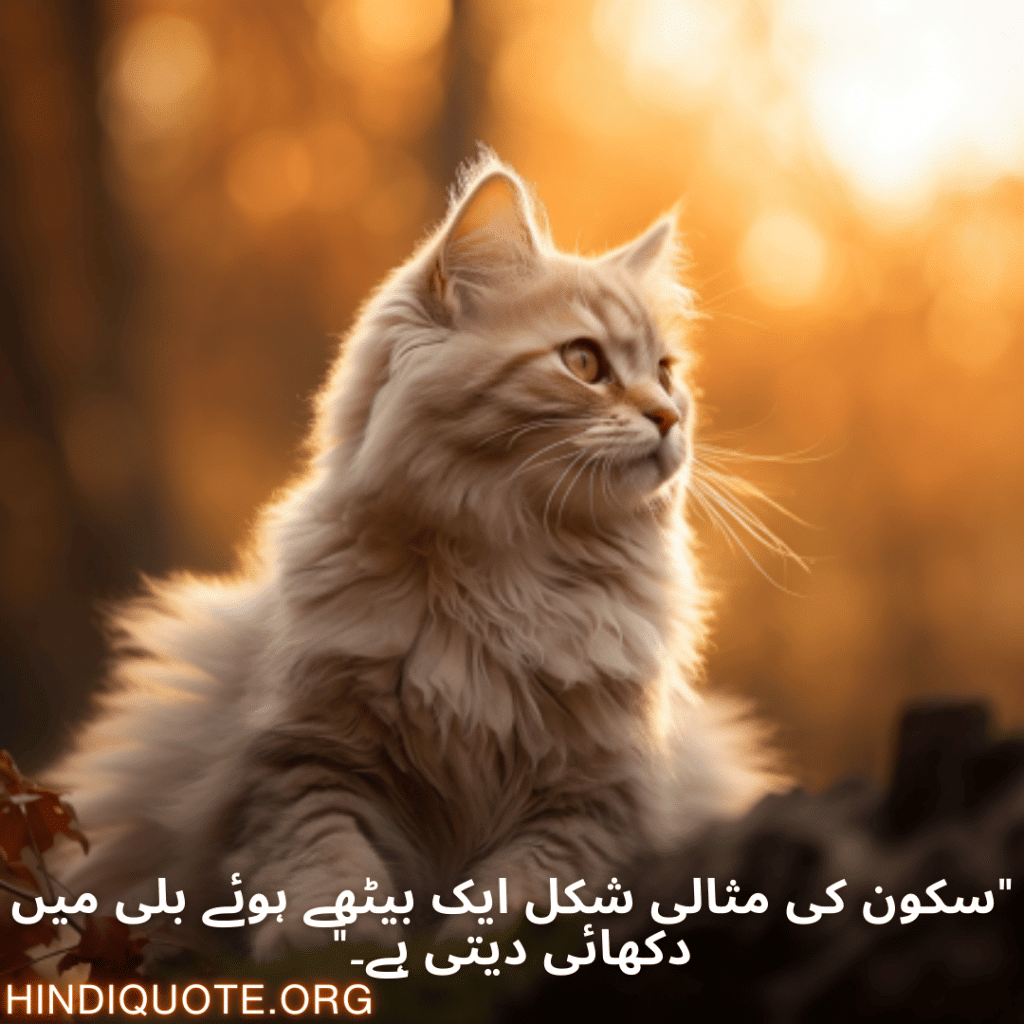 "سکون کی مثالی شکل ایک بیٹھے ہوئے بلی میں دکھائی دیتی ہے۔"