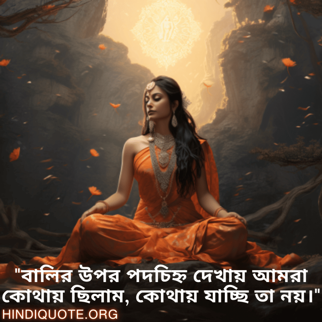 "বালির উপর পদচিহ্ন দেখায় আমরা কোথায় ছিলাম, কোথায় যাচ্ছি তা নয়।"
