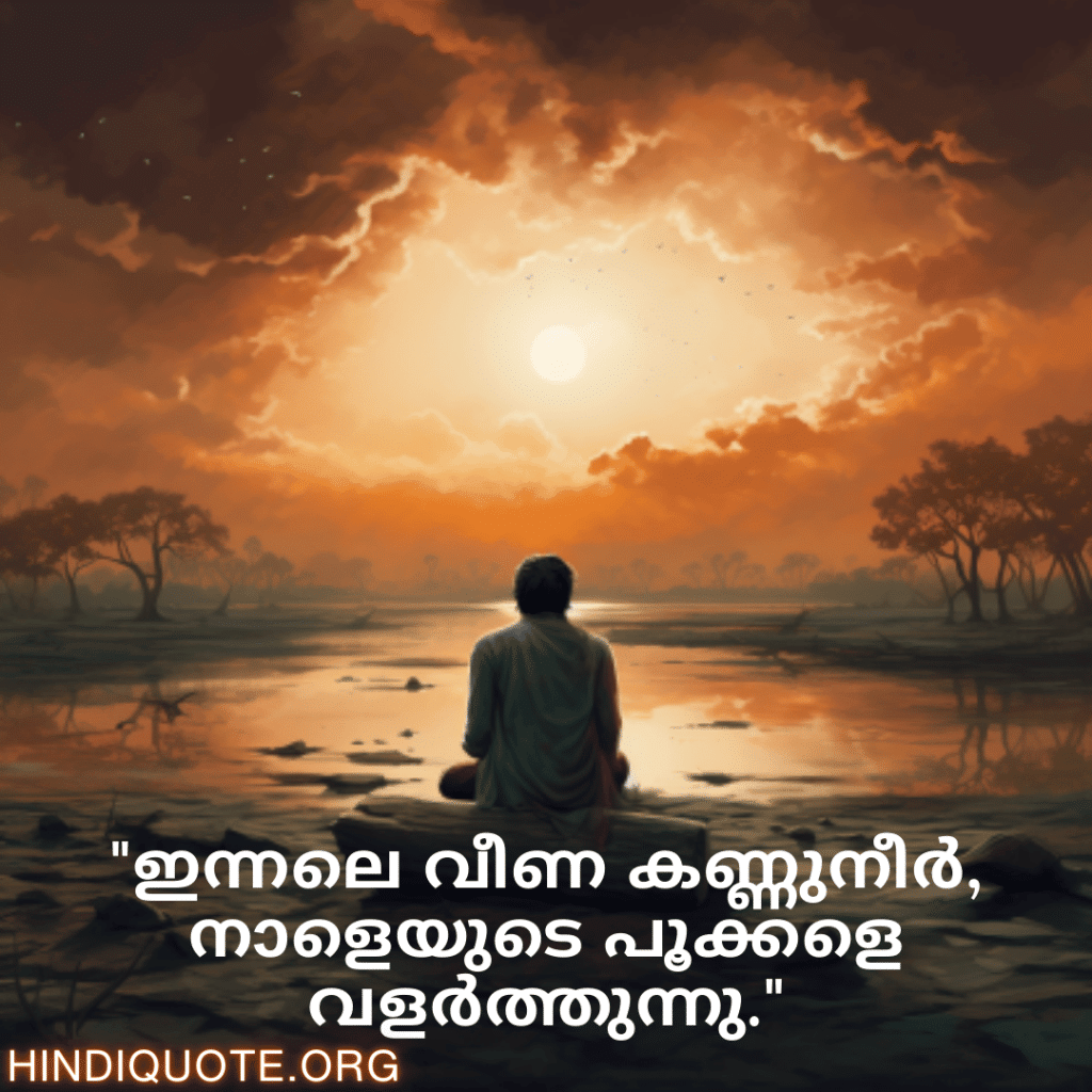 "ഇന്നലെ വീണ കണ്ണുനീർ, നാളെയുടെ പൂക്കളെ വളർത്തുന്നു."