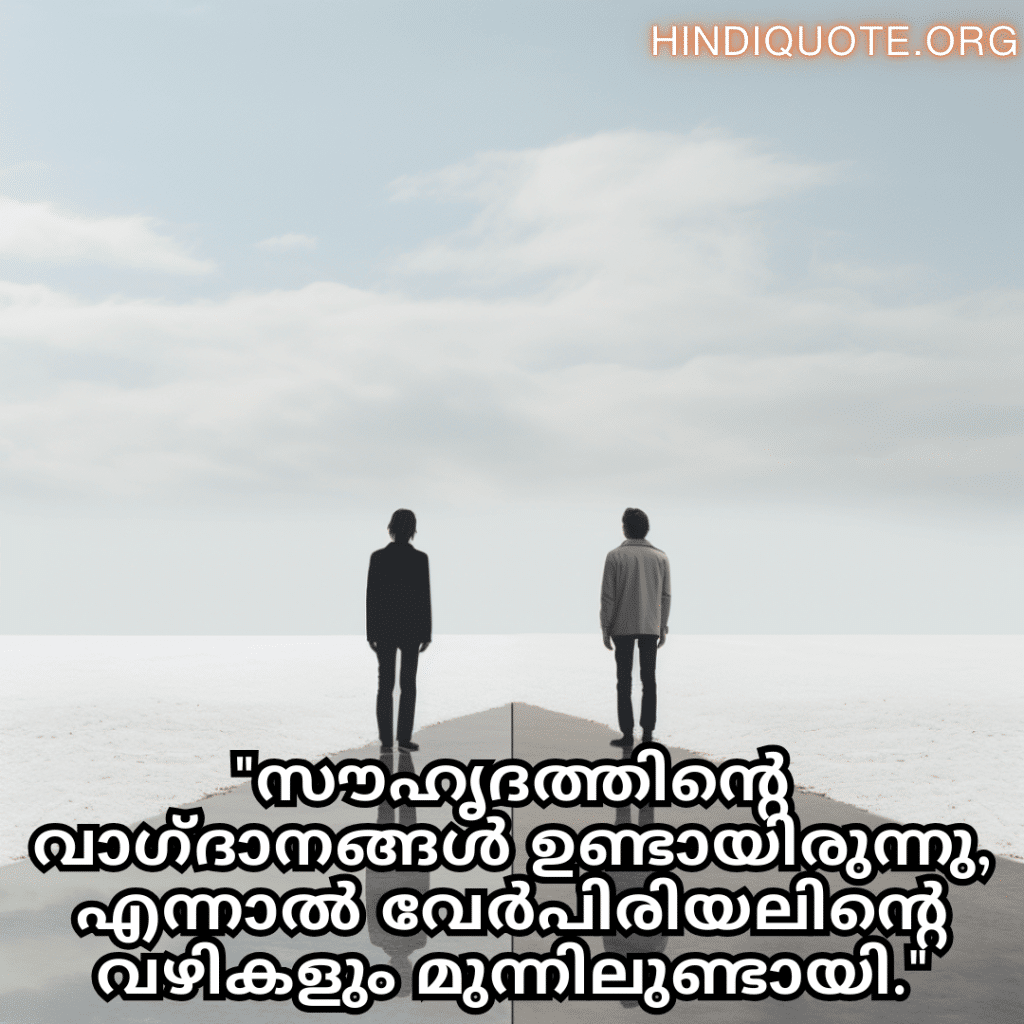 "സൗഹൃദത്തിൻ്റെ വാഗ്ദാനങ്ങൾ ഉണ്ടായിരുന്നു, എന്നാൽ വേർപിരിയലിൻ്റെ വഴികളും മുന്നിലുണ്ടായി."