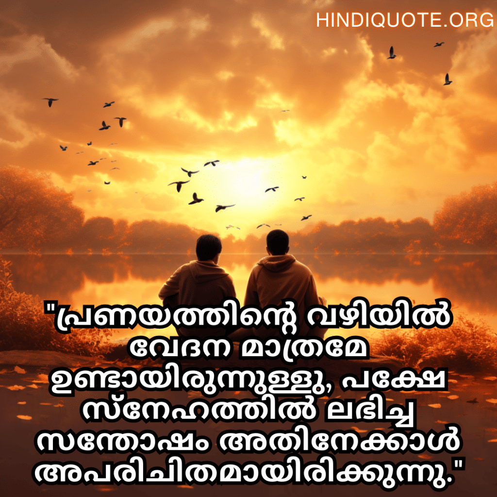 "പ്രണയത്തിന്റെ വഴിയിൽ വേദന മാത്രമേ ഉണ്ടായിരുന്നുള്ളു, പക്ഷേ സ്നേഹത്തിൽ ലഭിച്ച സന്തോഷം അതിനേക്കാൾ അപരിചിതമായിരിക്കുന്നു."