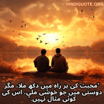 "محبت کی ہر راہ میں دکھ ملا، مگر دوستی میں جو خوشی ملی، اس کی کوئی مثال نہیں۔"