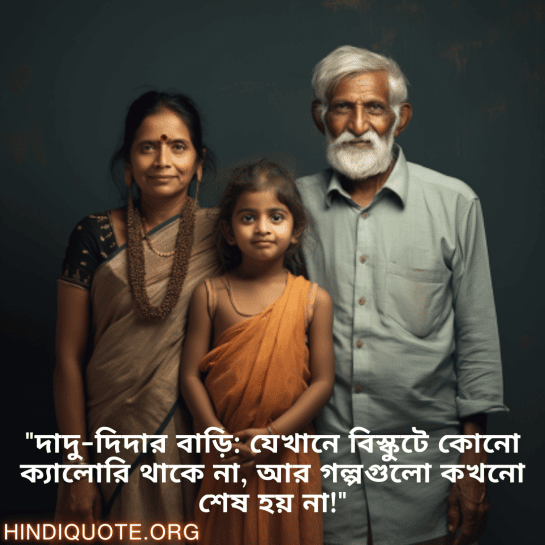 "দাদু-দিদার বাড়ি: যেখানে বিস্কুটে কোনো ক্যালোরি থাকে না, আর গল্পগুলো কখনো শেষ হয় না!"