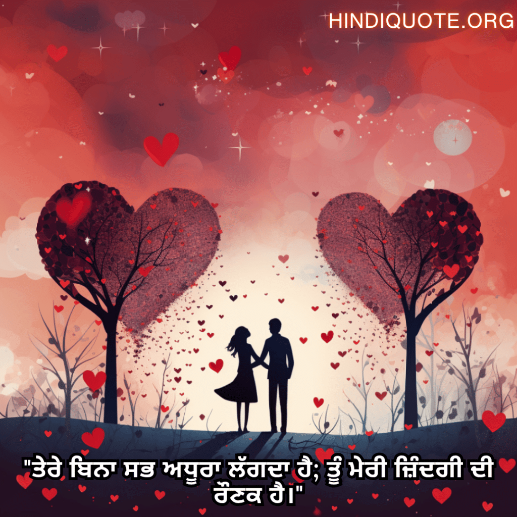 Romantic Shayari In Punjabi For Your Wife "ਤੇਰੇ ਬਿਨਾ ਸਭ ਅਧੂਰਾ ਲੱਗਦਾ ਹੈ; ਤੂੰ ਮੇਰੀ ਜ਼ਿੰਦਗੀ ਦੀ ਰੌਣਕ ਹੈ।"