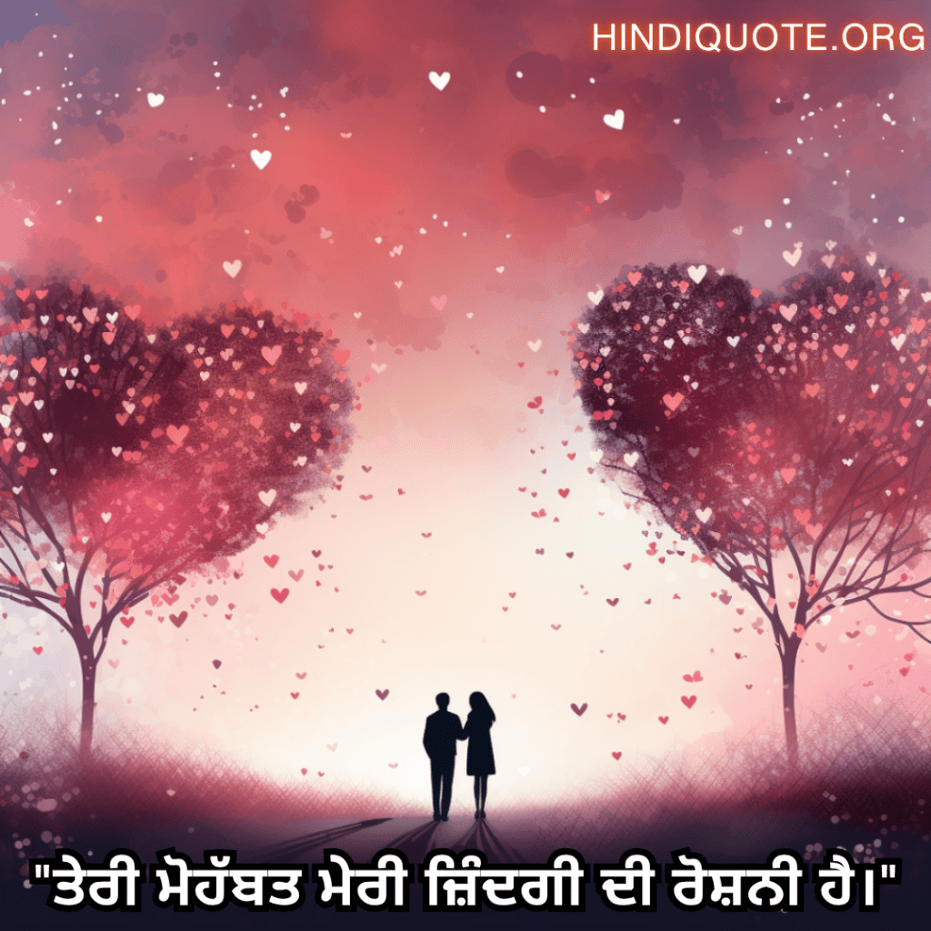 Romantic Shayari In Punjabi For Your Husband "ਤੇਰੀ ਮੋਹੱਬਤ ਮੇਰੀ ਜ਼ਿੰਦਗੀ ਦੀ ਰੋਸ਼ਨੀ ਹੈ।"