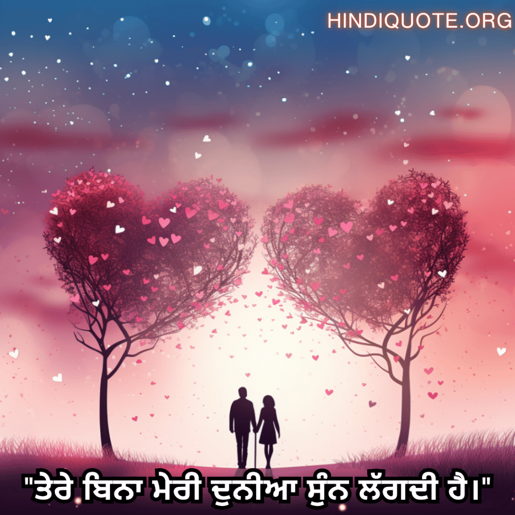 "ਤੇਰੇ ਬਿਨਾ ਮੇਰੀ ਦੁਨੀਆ ਸੁੰਨ ਲੱਗਦੀ ਹੈ।"